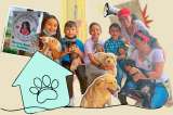 La profesora que creó con sus estudiantes de primaria una fundación para ayudar a animales