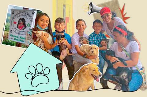 La profesora que creó con sus estudiantes de primaria una fundación para ayudar a animales