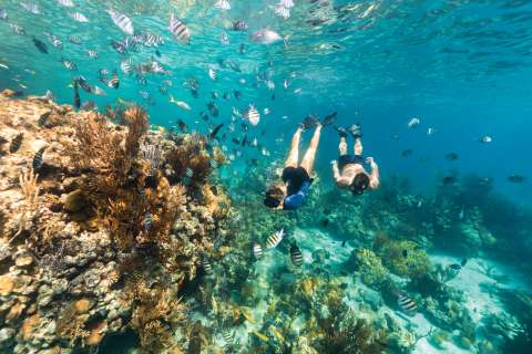 Guía para descubrir Las Bahamas en pareja, playas rosadas y naturaleza