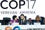 La enorme deuda con los océanos al cierre de la COP17 de biodiversidad