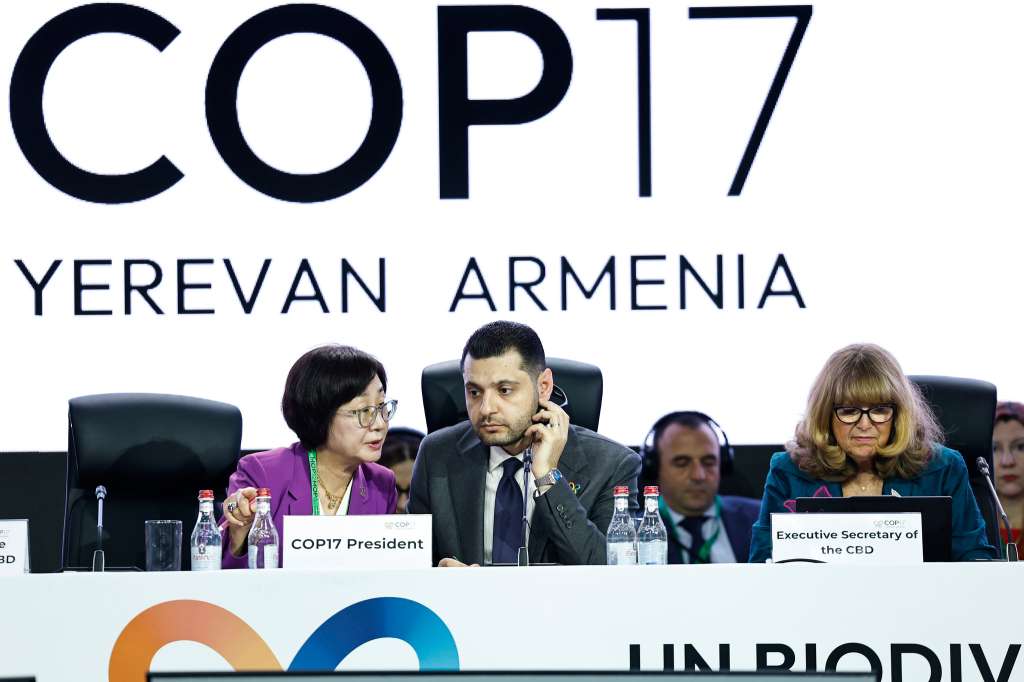 COP17