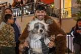Halloween en Bogotá: desfile de disfraces para mascotas, adopciones y actividades gratuitas