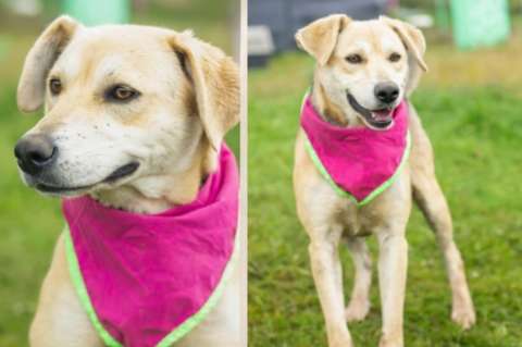 Pola tiene 7 años y sigue esperando una familia que la quiera para siempre