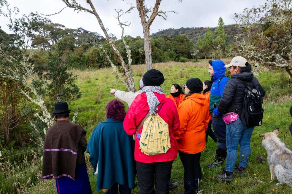 Algunas organizaciones coordinaron adquisiciones conjuntas para reducir costos y aprovechar mejor los recursos disponibles.