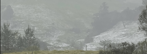Quebradas en alerta roja y campos cubiertos de granizo: así fue la tormenta en Antioquia