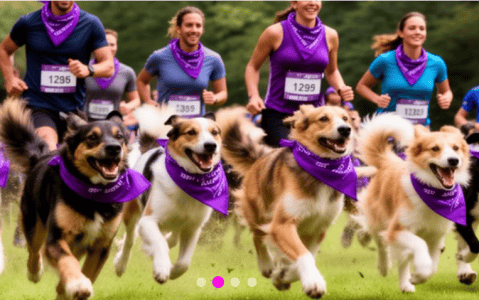 Bogotá tendrá una carrera para correr con perros: conozca cuándo y dónde será