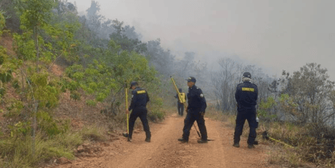 Incendio forestal afectó más de 40 hectáreas en el cerro Tasajero, en Cúcuta