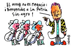 El arroz no es negocio