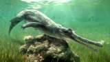 Científicos descubren una nueva especie de cocodrilo extinto en Egipto