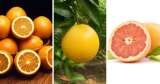 Naranja, toronja y pomelo: ¿en qué se diferencian?