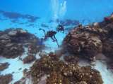 Las “bibliotecas” del pasado que buscan los científicos bajo el mar Caribe colombiano