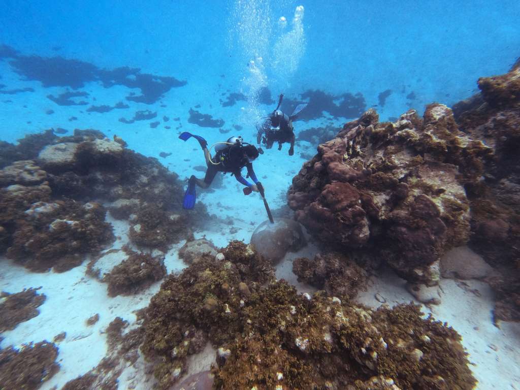 Los investigadores Vinícius Mendes, geólogo, y Gabriel Castro, químico, mientras extraen un núcleo de coral en Providencia.