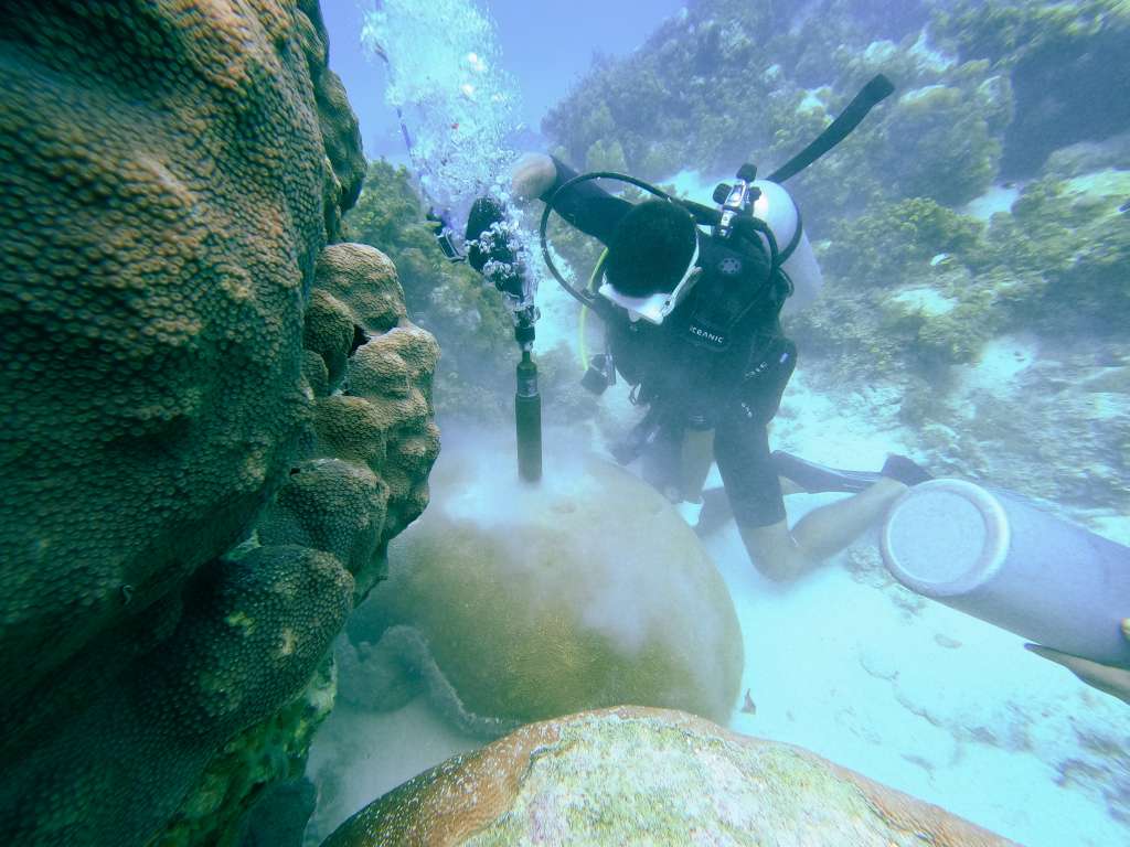 Gabriel Castro, mientras extrae un núcleo de coral en Providencia.