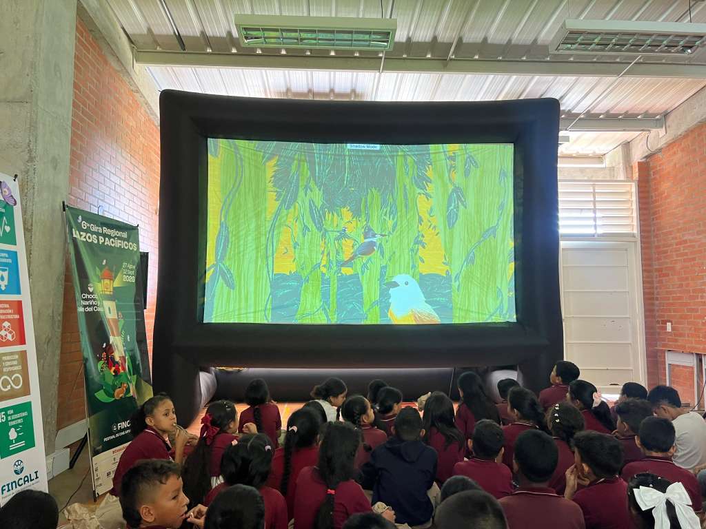 Una película puede convertirse en un recurso pedagógico, ilustrar una problemática que afecta a una comunidad o ayudar a comprender las transformaciones de un territorio.