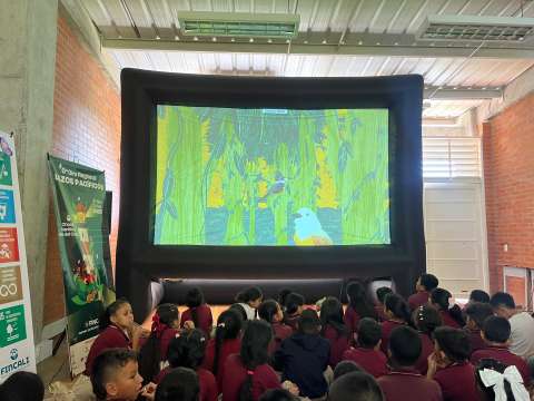 Pantalla Verde: historias que conectan el cine con el cuidado del planeta