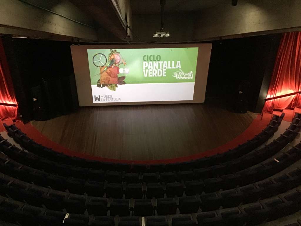 Pantalla Verde contribuye a fortalecer las redes del cine ambiental.