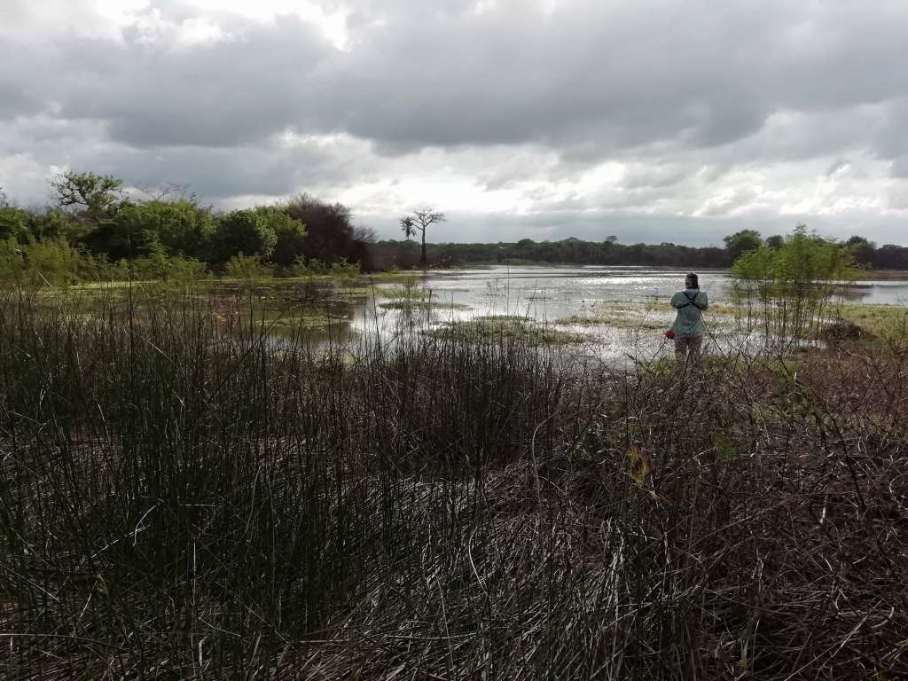 En La Guajira hay diferentes ecosistemas, como el bosque seco tropical.