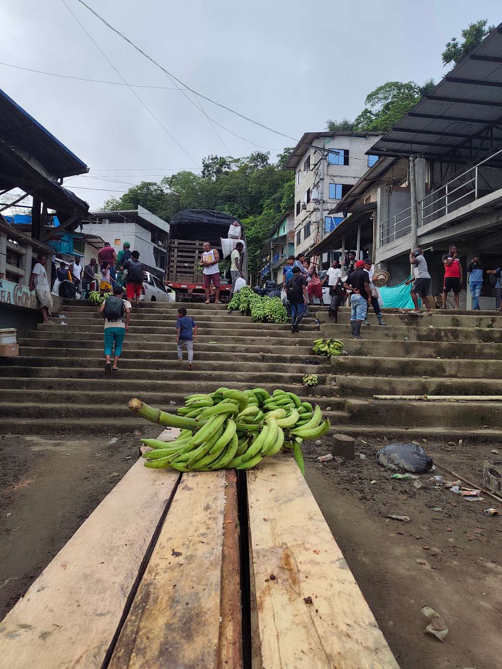 Puerto Meluk recibe los racimos de banano y plátano que llegan por el río.