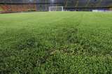 El Campín: concesión a la ineptitud