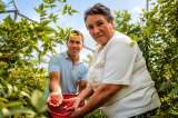 Cundinamarca compra y transforma cosechas; así protege a los pequeños productores