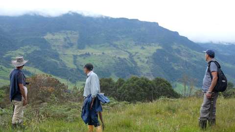 Entre bosques y potreros, Manta intenta conservar el paso del oso andino por sus montañas