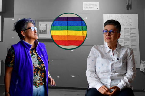 La historia de la bandera que acompañó las luchas LGBTIQ+ y fue retirada del Museo Nacional