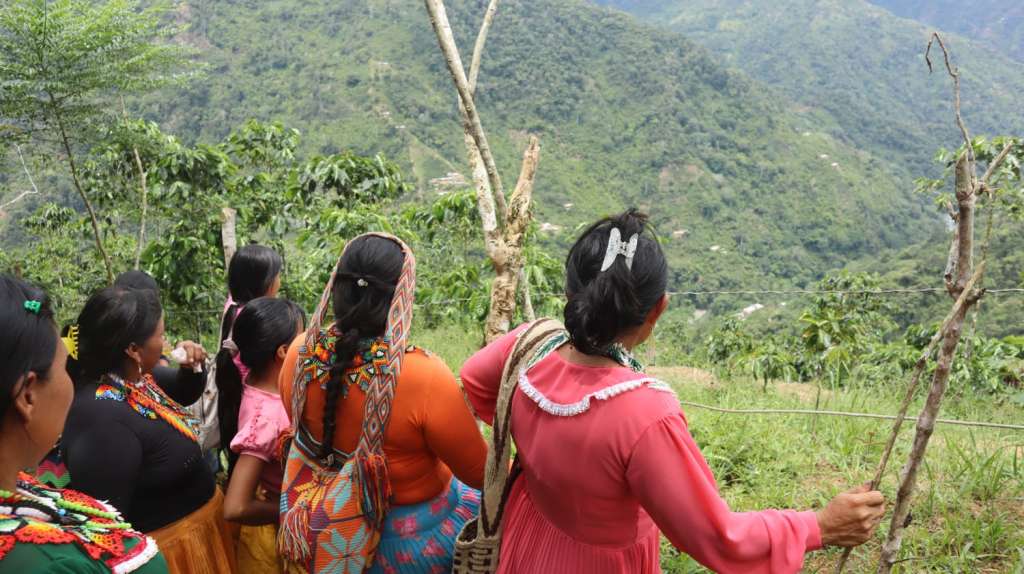 Dentro de las actividades culturales de las mujeres de esta cultura indígena está la apropiación de su territorio.