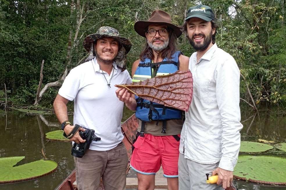 En la descripción de la nueva especie de Victoria participaron integrantes de las comunidades indígenas.