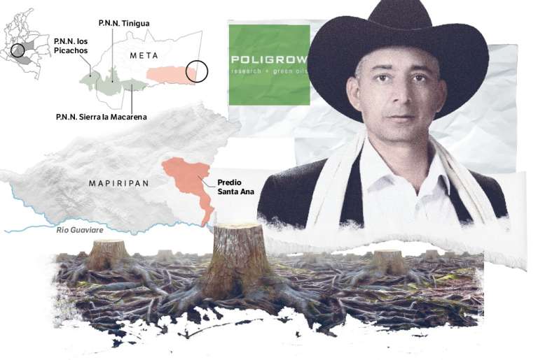 El lío de un excongresista por presunta deforestación en el Meta
