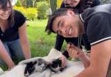 Julián Pinilla rescata a una gata y a sus crías de una obra de construcción