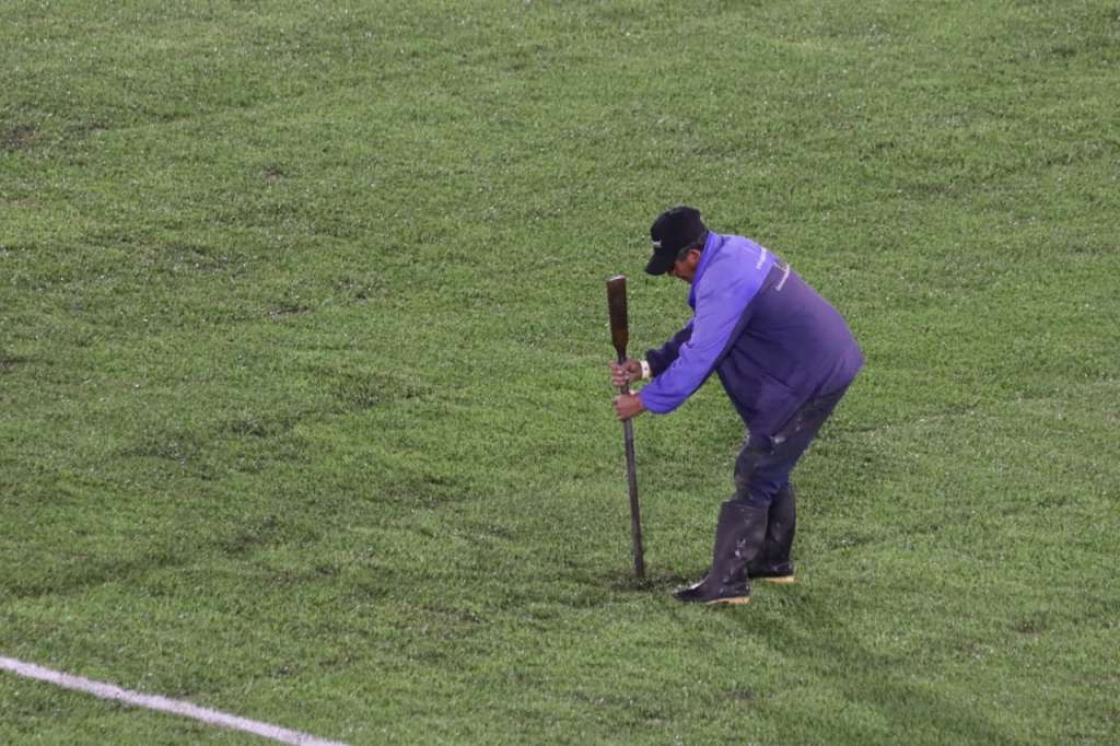 Césped estadio El Campín