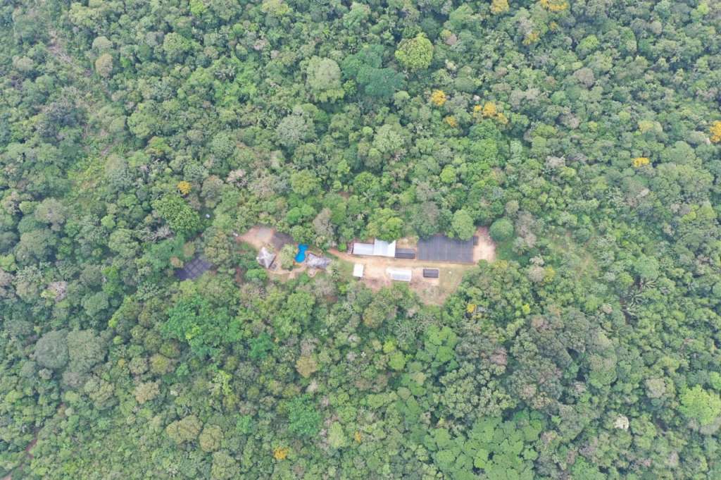 Estudiaron el impacto de las partículas de incendios en Guaviare y se llevaron una sorpresa