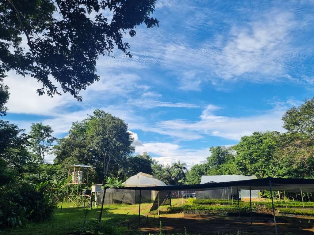 Estudiaron el impacto de las partículas de incendios en Guaviare y se llevaron una sorpresa