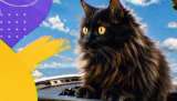 Bessie, la gata que apareció en un avión y terminó siendo adoptada por un piloto