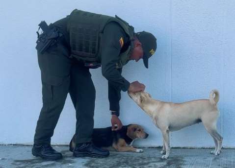 Asha y Nala llegaron a una estación de Policía huyendo de la lluvia y encontraron un hogar