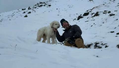 Perrita sobrevivió 50 horas en la nieve tras una avalancha: comunidad se unió para salvarla