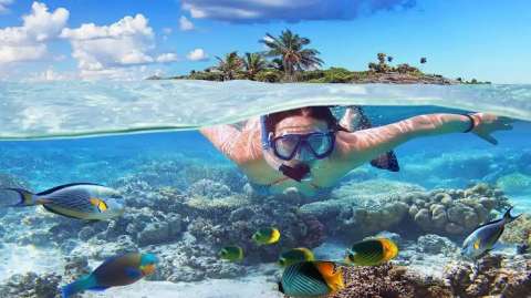 Qué hacer en Curazao: cinco experiencias de aventura, cultura y naturaleza