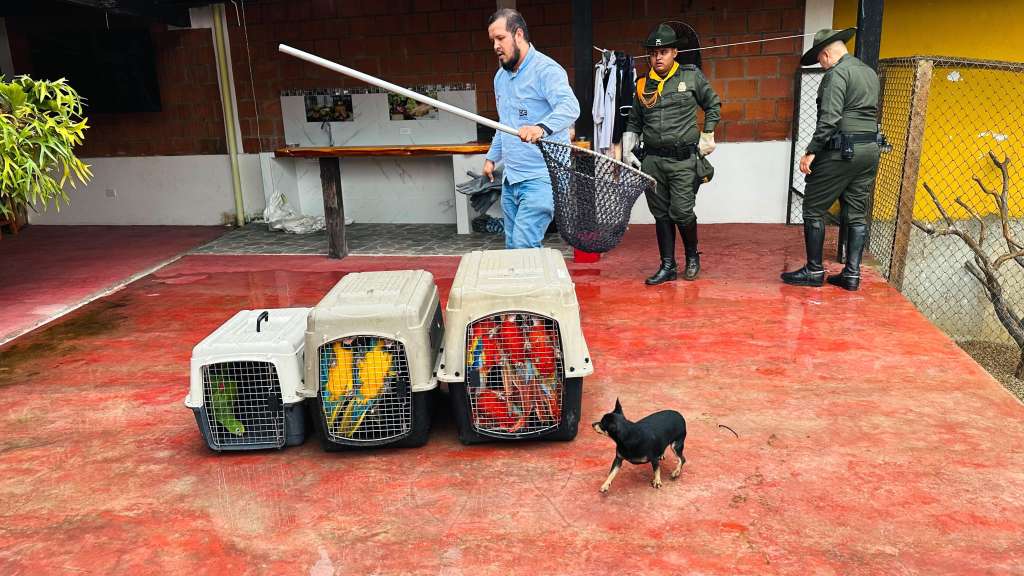 Incautación de fauna silvestre en cautiverio