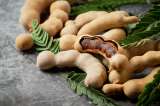 ¿Cuánto tarda un árbol de tamarindo en dar frutos? Consejos para acelerar su cosecha