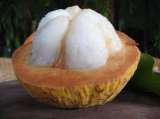 ¿Qué es el santol? La fruta asiática que gana popularidad y pocos conocen