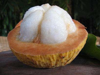 ¿Qué es el santol? La fruta asiática que gana popularidad y pocos conocen