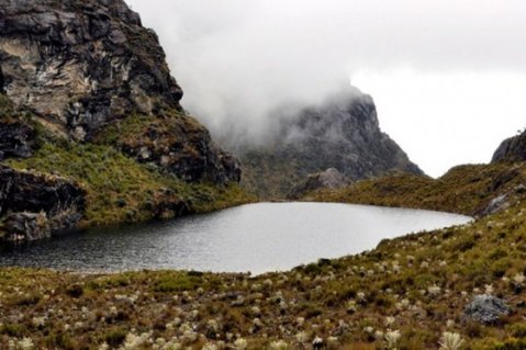 Gobierno traza políticas ambientales con gobernaciones y alcaldías