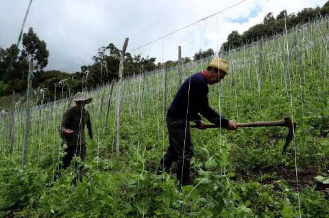 Fiscalía hizo inspección a Finagro por créditos agrarios en medio de la pandemia