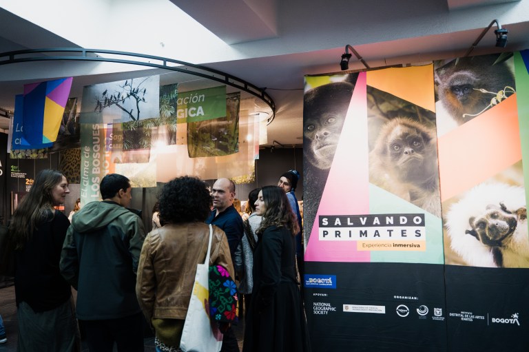 Una “selva multimedia” en Bogotá para proteger a los primates colombianos