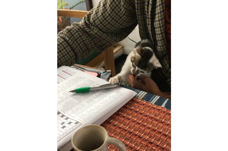Escribir como un gato