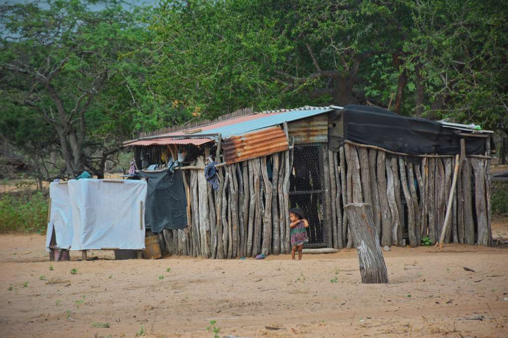 En lo que va del año 2022, se han registrado 177 casos de desnutrición en niños y niñas menores a los cinco años en La Guajira.