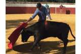 Francisco Rivera, hijo de ‘Paquirri’, publica foto en la que expone a su bebé ante vaquilla