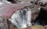 Crónica de un viaje a  Caño Cristales en tiempos de paz