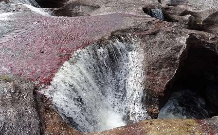 Crónica de un viaje a  Caño Cristales en tiempos de paz