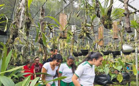 La reserva en el Caquetá que recupera orquídeas que ni la ciencia conocía